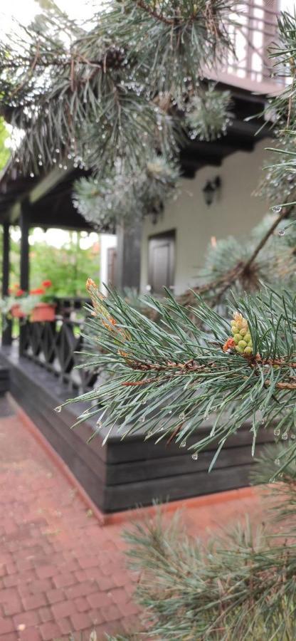 Park-Hotel Kidev Chubynske Exterior photo