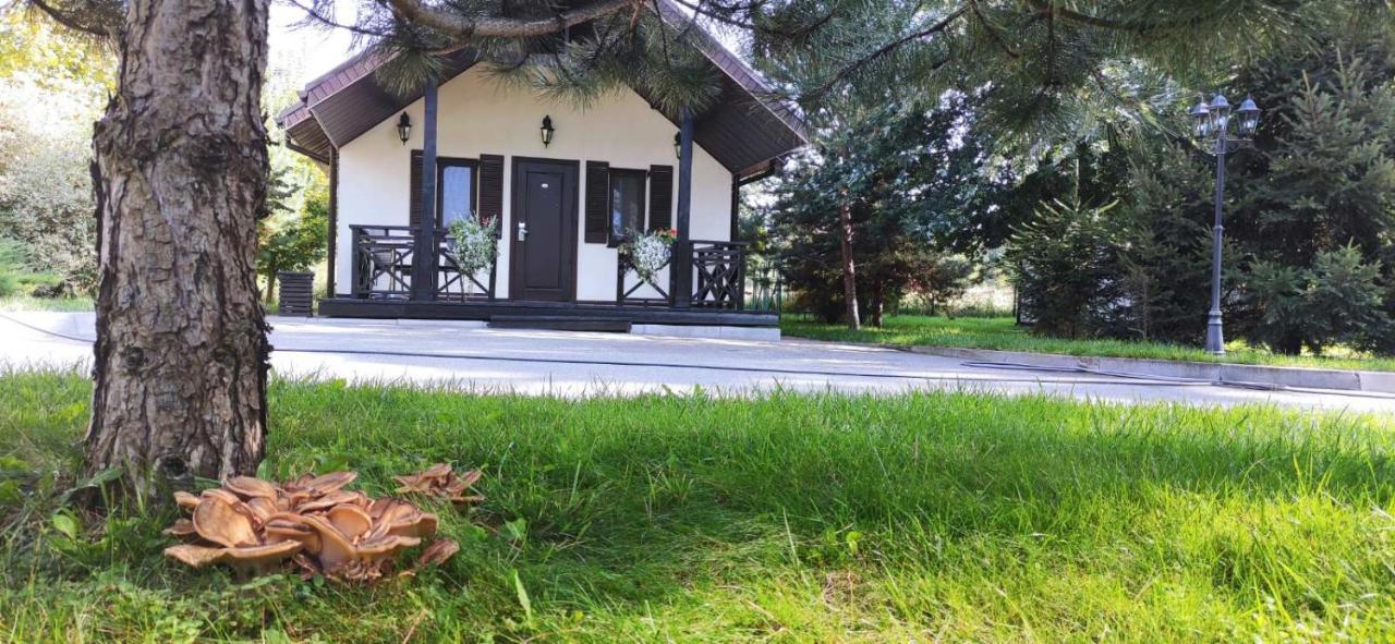 Park-Hotel Kidev Chubynske Exterior photo