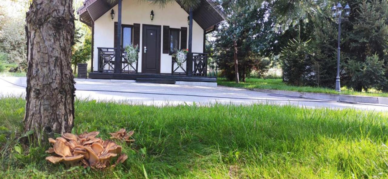 Park-Hotel Kidev Chubynske Exterior photo